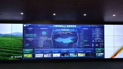 3000亿大市场呼唤大数据服务超级品牌